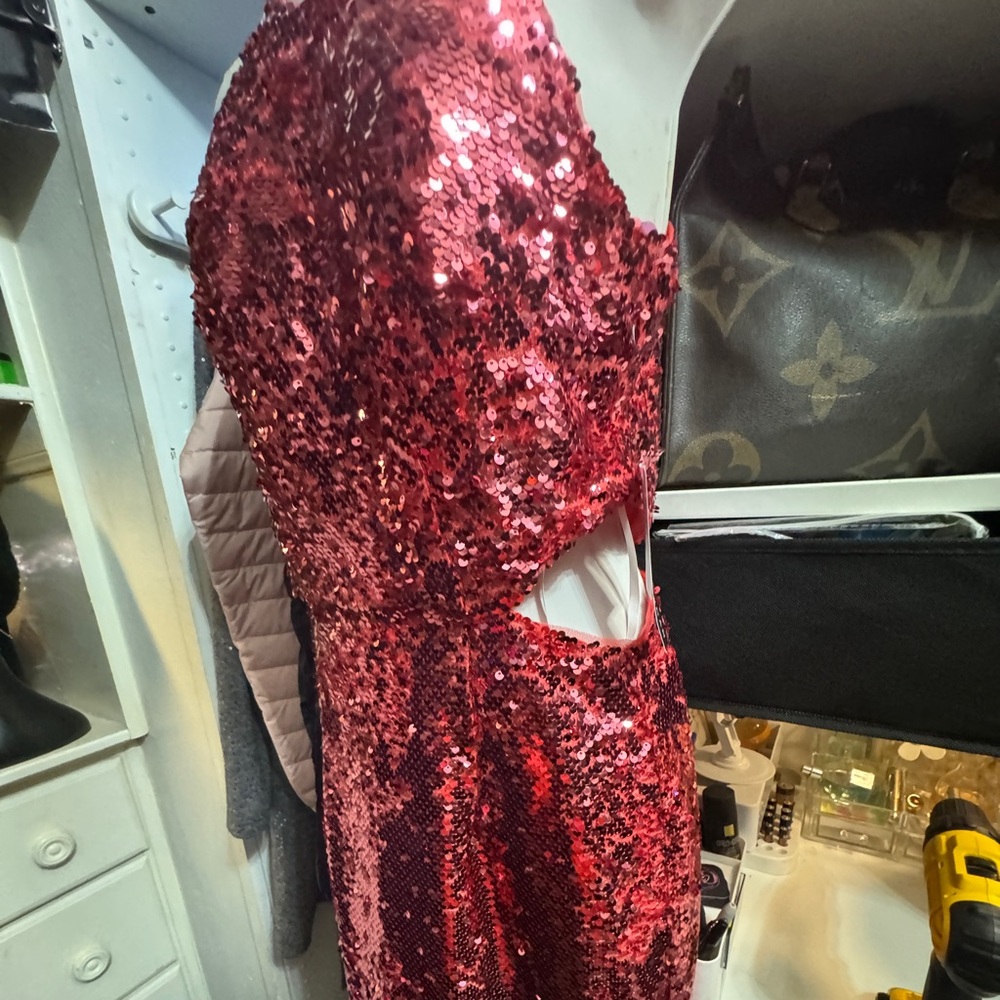 Plum colored sequin dress